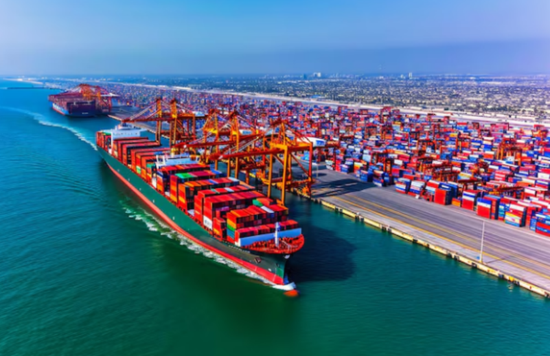 King of Freight: Growth, Innovation, and Leadership in the Logistics Industry
