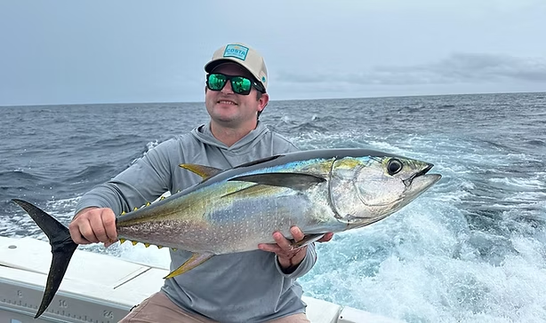 Yellowfin Fishing Charter: How to Choose the Right Experience for Big Game Action